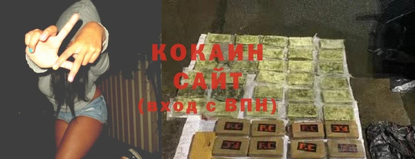 индика Лиски