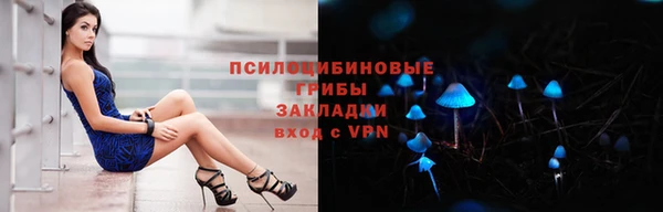 индика Лиски