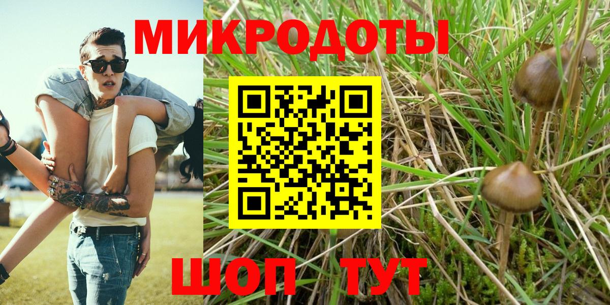 Псилоцибиновые грибы Cubensis  Вход с VPN  Сызрань 