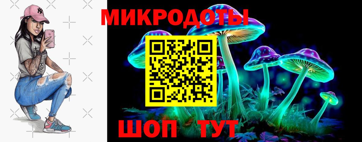 Галлюциногенные грибы Psilocybine cubensis Сызрань